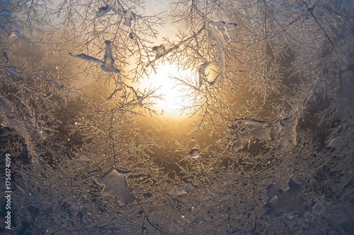Winter window illuminated b...