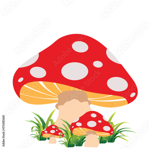 Vector Colorful Flat Fly Agaric Illustration