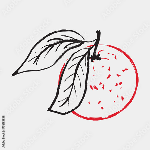 Hand drawn illustration of a tangerine with two leaves. Vector sketch illustration in vintage crayon textured style. Winter citrus fruit, Christmas symbol.