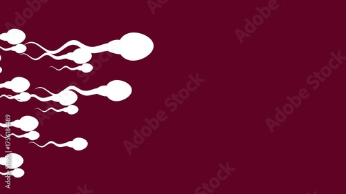 Sperm cell animation on dark red background. Ideal for educational videos, fertility concepts, biology presentations, and healthcare visuals.