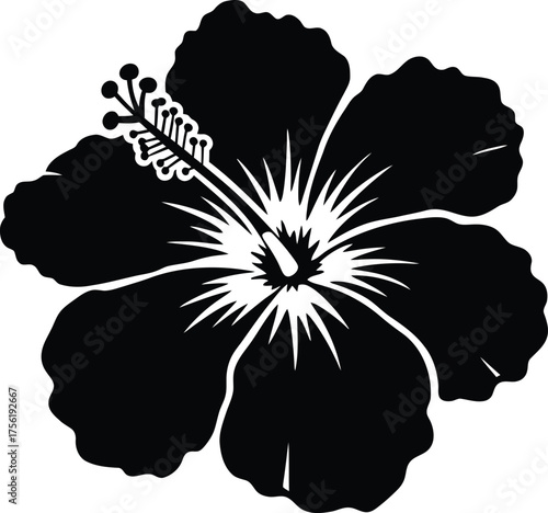 Bold black silhouette of a blooming hibiscus flower with detailed stamen and petals isolated on transparent background
