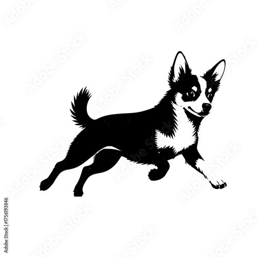 black and white dog running