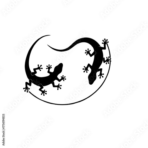 vector illustration of a lizard