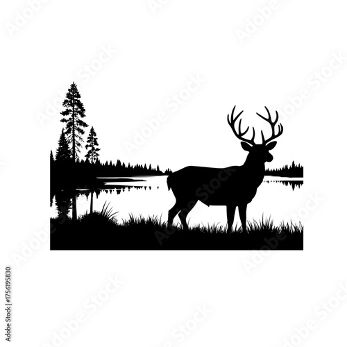 Photos deer in the forest