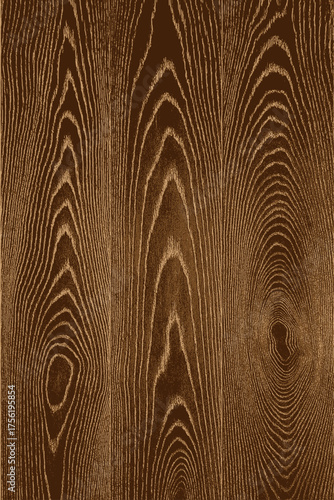 Realistic wood bark texture, perfect for natural design, eco backgrounds, and forest-themed creative projects.