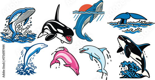 Marine Mammals Vector Set with Whales Dolphins and Killer Whales Illustration