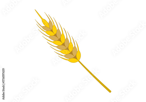 Espiga de trigo amarillo en fondo blanco