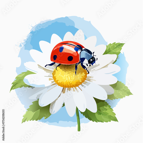 Marienkäfer auf Gänseblümchen