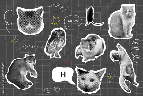 Cat halftone collage sticker set with doodle elements, trendy retro y2k pet, funky emoticon animal, pop aesthetic. Meme head with speech bubble. Funny kitty.