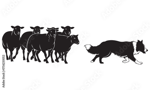 Herding Dog Guiding a Flock of Sheep in Silhouette