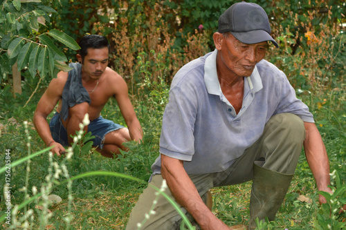 A father works alongside his son in the farm field, cutting wild grass and plants together among thick shrubs and greenery.