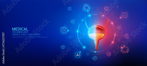 Bladder realistic shape model with translucent polygon connection to the medical network icons. Innovation in digital smart science health care technology. Banner vector.