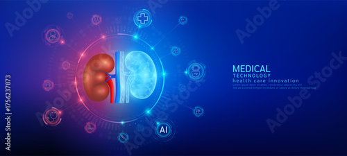 Kidney realistic shape model with translucent polygon connection to the medical network icons. Innovation in digital smart science health care technology. Banner vector.