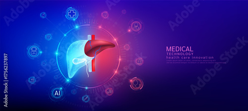 Liver realistic shape model with translucent polygon connection to the medical network icons. Innovation in digital smart science health care technology. Banner vector.