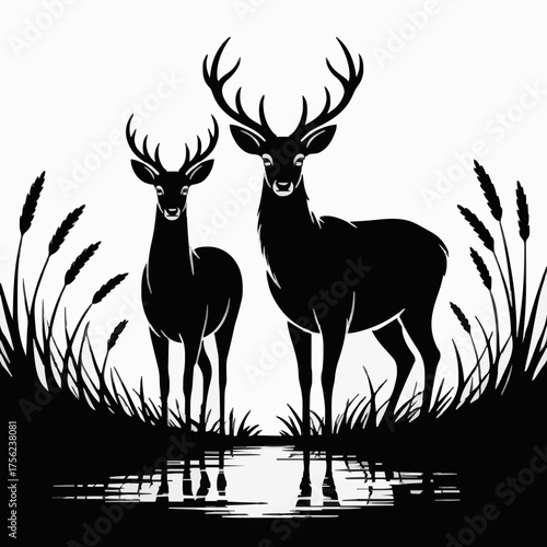 Two Stag Deer Silhouettes in Grass with Water Reflection - Black and White