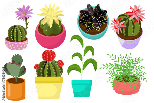A set of vector illustrations featuring various houseplants in pots. The collection includes cacti with flowers and simple decorative plants with leaves of various shapes and sizes.