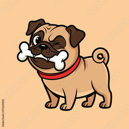 Cute pug dog chewing a large bone, sitting happily on beige background, cartoon vector illustration