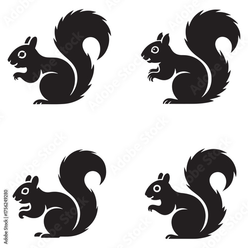Eastern gray squirrel silhouette graphic set collection