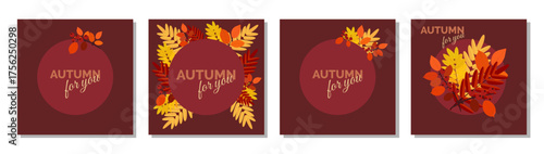 Autumn for you