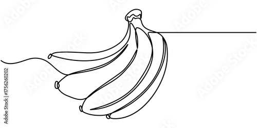 Continuous line drawing whole bunch healthy organic banana, Outline vector illustration, Vector illustration of banana continuous one line art drawing concept. 