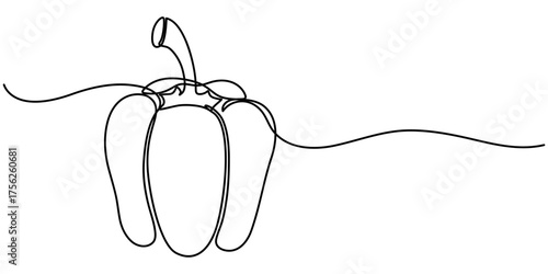 capsicum continuous one line drawing,  isolated on white background, outline illustration. 