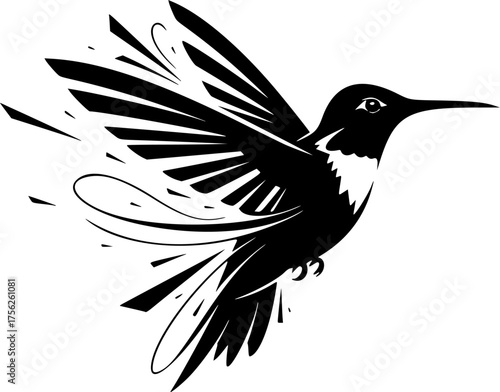 Paradise hummingbird bird isolated on a white background, black vector silhouette. EPS version.