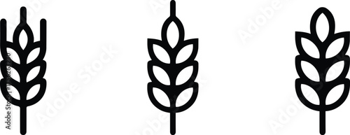 Wheat and Cereal Ears Line Art Set Agriculture Icons