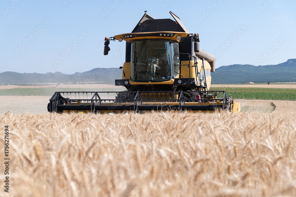 Obraz premium Una cosechadora en pleno trabajo segando cereal en una finca durante el verano