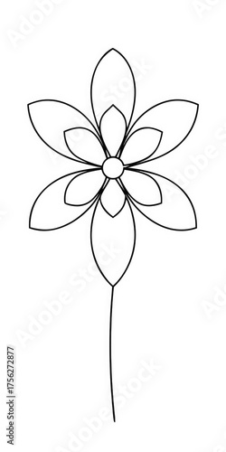 flower vector illustration