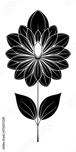 black and white flower