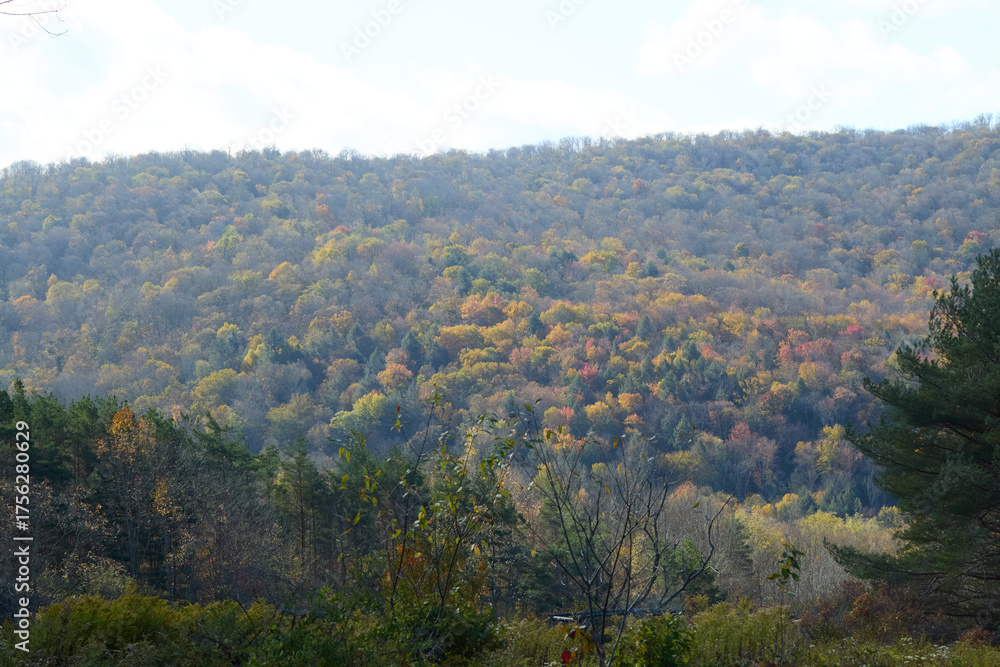 Naklejka premium Distant wooded mountain in autumn, blue sky, panoramic view 