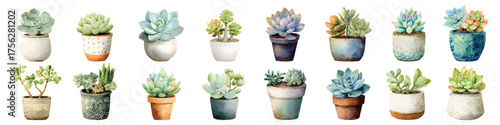 Succulents in terracotta pots, potted plants, indoor houseplant gardening decoration watercolor set isolated on transparent background