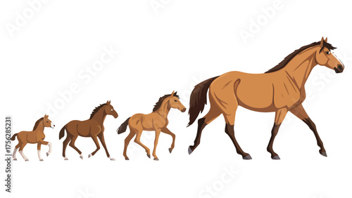 Horse Family Progression in Brown Tones foal colt