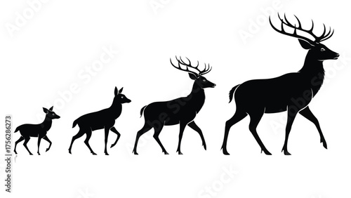 Deer Family Silhouette Progression stag fawn