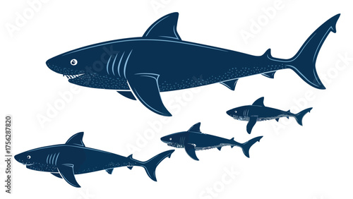 Dark Blue Shark Group Silhouette Illustration marine life