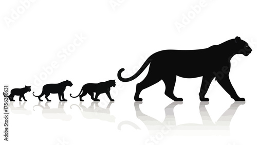 Panther Family Silhouette with Reflections big cat