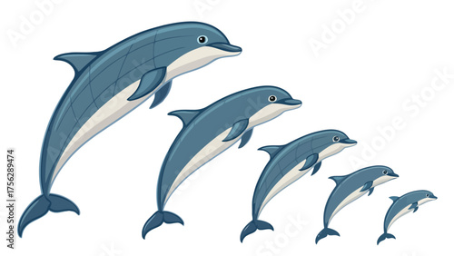 Dolphin family vector illustration showing size progression isolated o