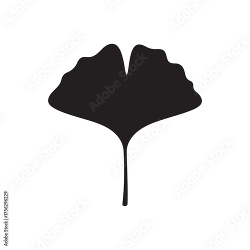 Ginkgo leaf icon silhouette vector flat illustration design on white background