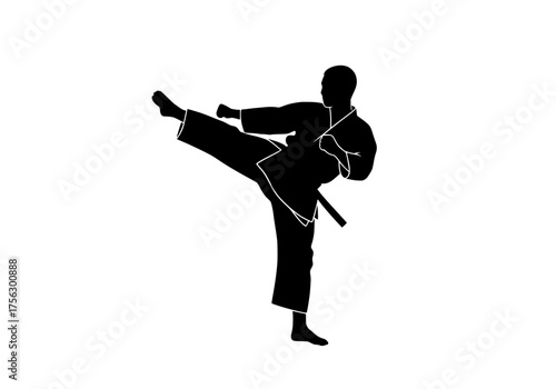 Karate practitioner vector silhouette delivering a precise high kick demonstrating strength and discipline