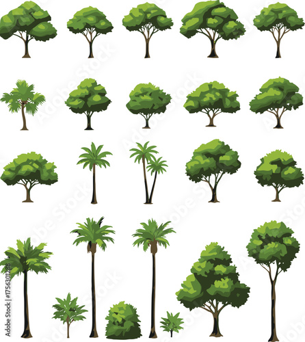 Tree illustration vector set, diverse foliage and species icons, landscape design elements, botanical graphics, nature silhouette and color pack