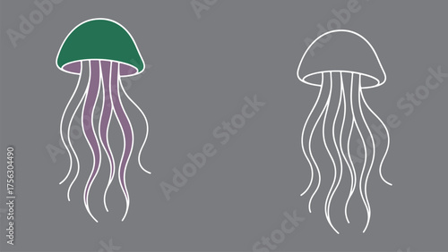 Jellyfish Outline and Colored Illustration on Gray