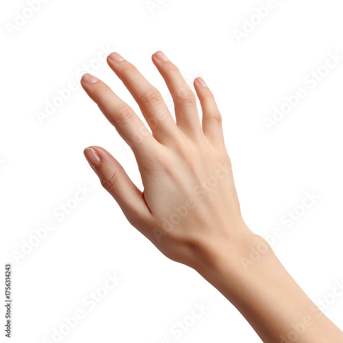 Women's Hands, Human Palm, Hand Gestures Female Fingers, Diverse Skin Tones, white background