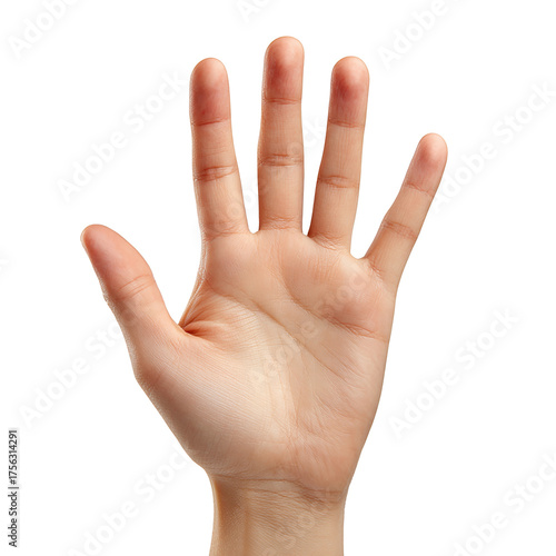 Women's Hands, Human Palm, Hand Gestures Female Fingers, Diverse Skin Tones, white background