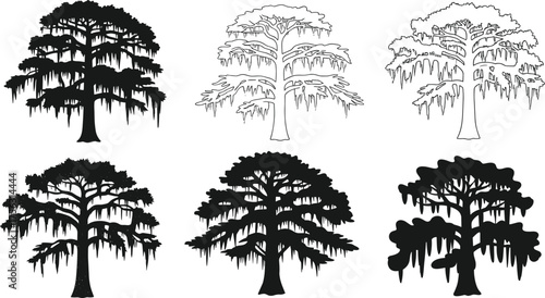 Cypress tree silhouette vector illustration, hanging moss botanical design, swamp forest nature art, southern landscape elements, decorative foliage concept, creative black drawing inspiration