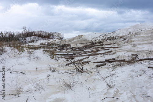 Snowy dune Efa on Curonia Spit with fascines under gray cloudy sky and winter winds, bundles of sticks, branches, or reeds used to help control wind erosion and stabilize sand dunes.