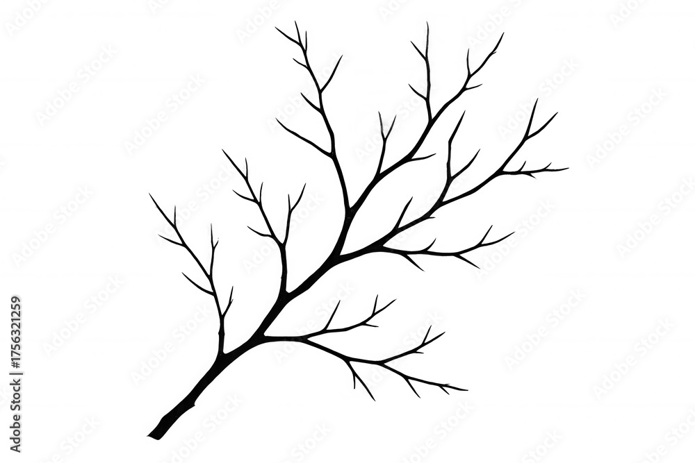 Fototapeta premium Bare tree branch silhouette with many twigs, depicting winter or autumn nature, having a transparent background