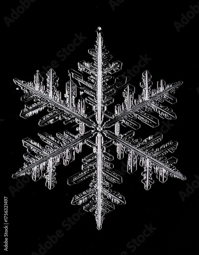 One perfect snowflake in intricate detail isolated on a stark black background, showcasing its unique crystal structure.