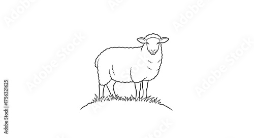A simple black and white line drawing of a fluffy sheep standing on a grassy hill in a field.