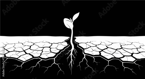 Resilient seedling sprouting in cracked earth symbolizes hope and new beginnings after hardship, representing growth and renewal, scalable vector graphic