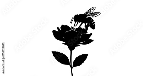 Honey bee extracting nectar from a flower blossom, perfect for nature illustrations, ecological designs, and springtime themes. Clean, scalable vector art.